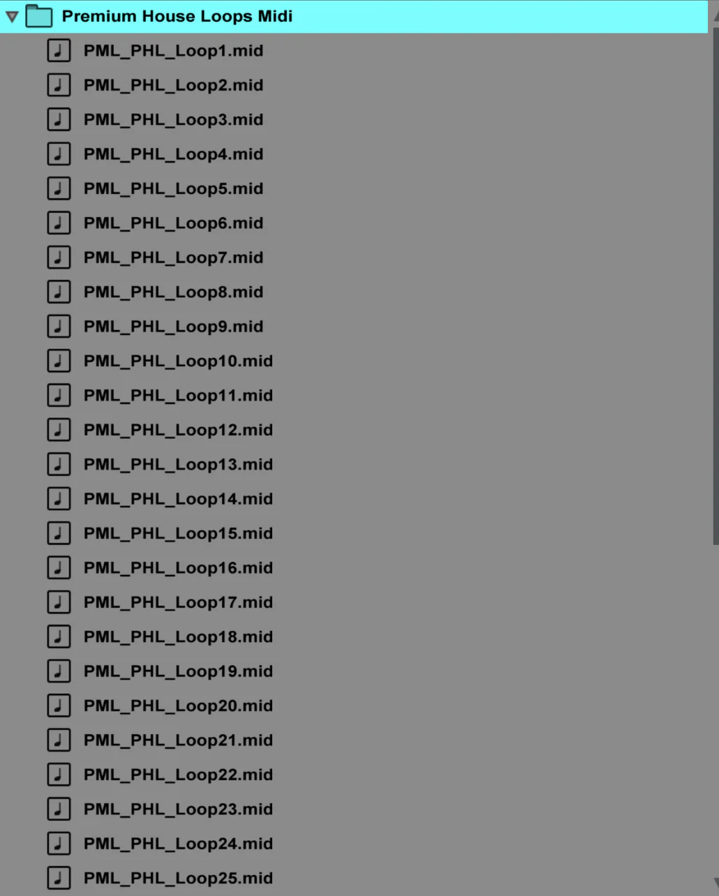 Premium House Loops + Loop Midis - Image 11