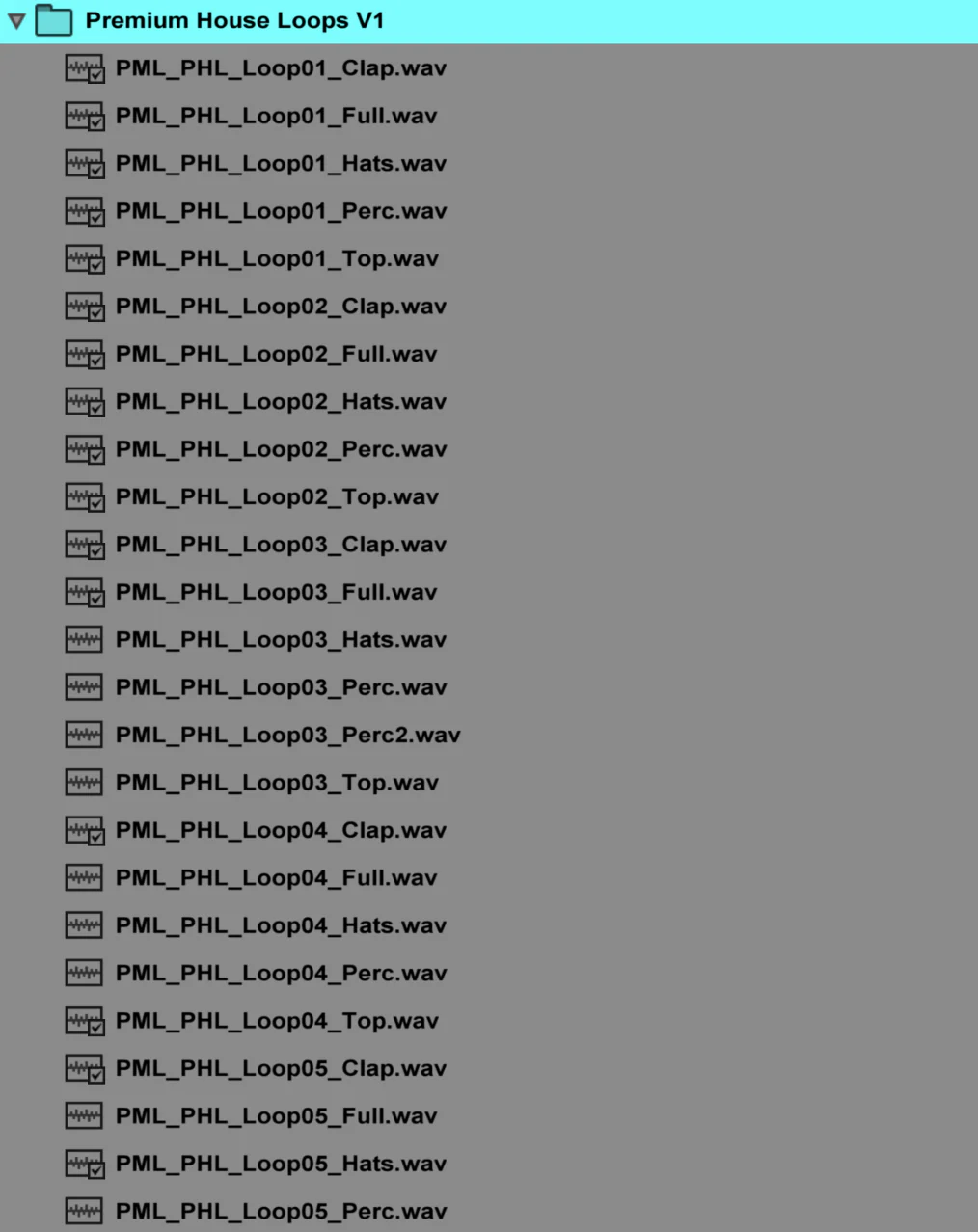 Premium House Loops + Loop Midis - Image 7